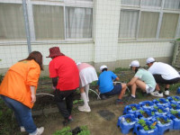 pict-IMG_0729