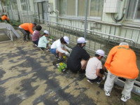pict-IMG_0731