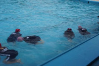 pict-DSC00220