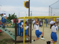 pict-IMG_0056