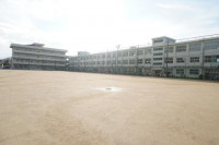 pict-DSC00915