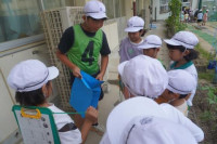 pict-DSC01145