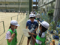 pict-IMG_1055