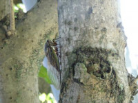 pict-DSC00032