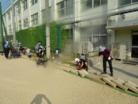 pict-DSC01903
