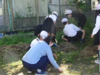 pict-DSC04867