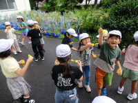 pict-DSC05623