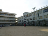 pict-DSC05647