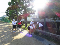 pict-DSC06371