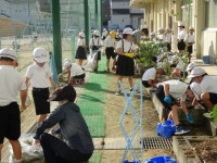 pict-DSC06385