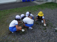 pict-DSC06389