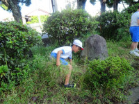 pict-DSC06393