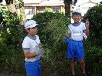 pict-InkedDSC06395_LI