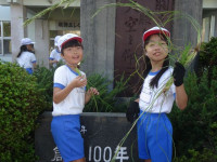 pict-InkedDSC06396_LI
