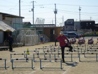 pict-DSC06414
