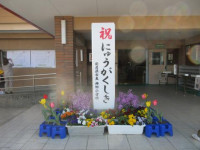 pict-IMG_0545