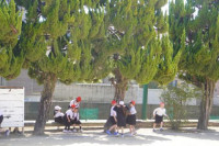 pict-DSC00204