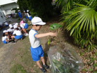pict-DSC00901