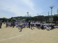 pict-IMG_0043