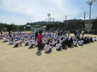 pict-IMG_0175