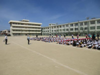 pict-IMG_0177