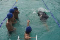 pict-DSC00796